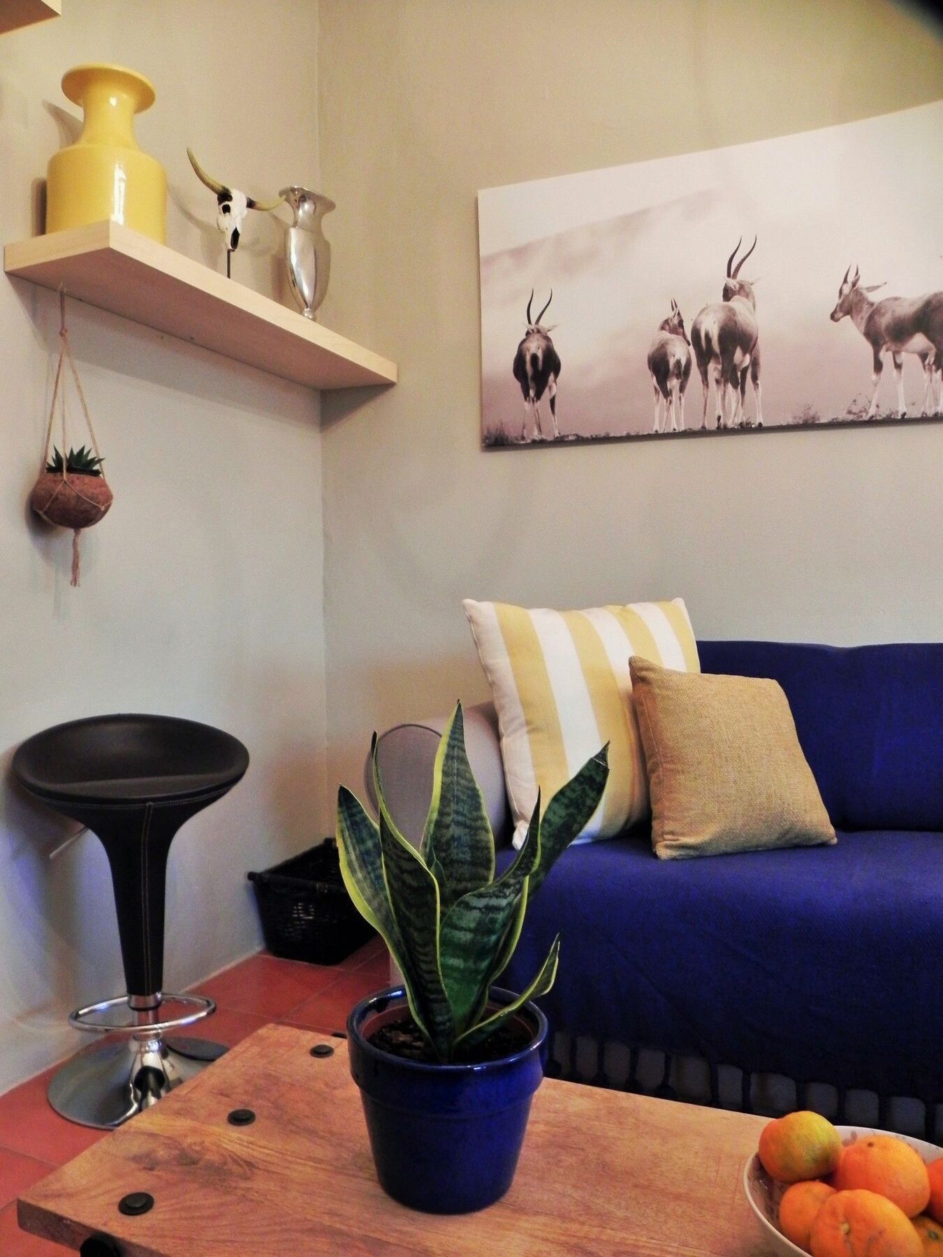 Royal Gala Cottage Franschhoek Zewnętrze zdjęcie